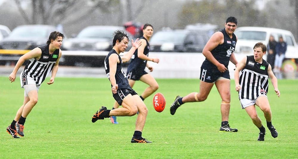 North’s next big thing post image