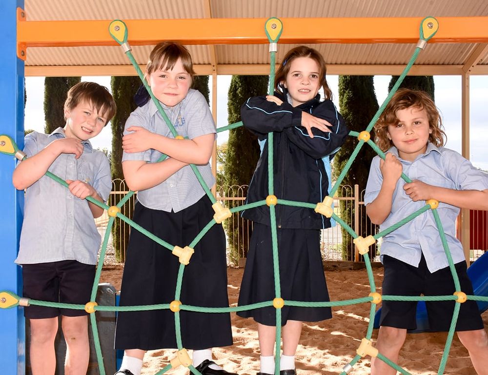 WELCOME BACK TO NORMAL LEARNING post image