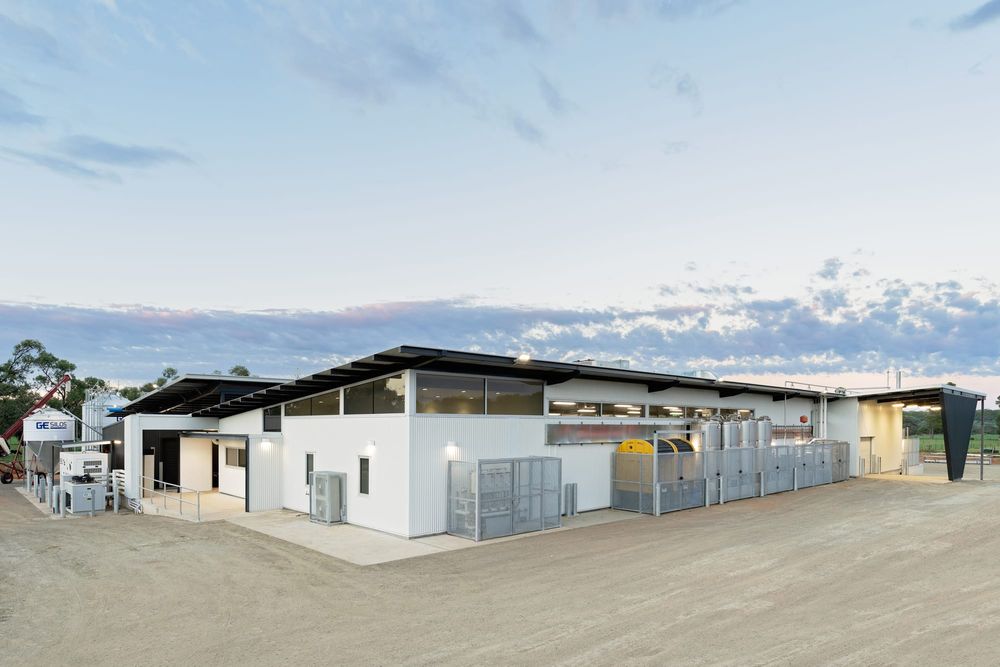 Cadell’s dairy of opportunities post image