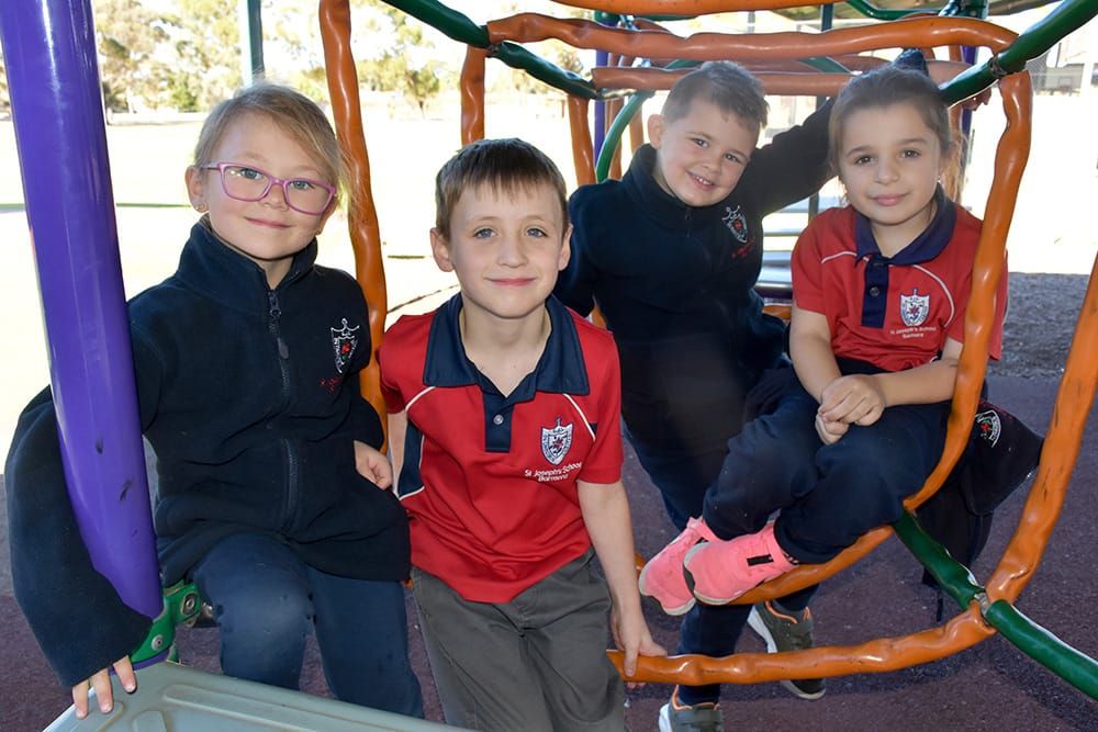 Free mid-year intake for all Catholic primary schools post image