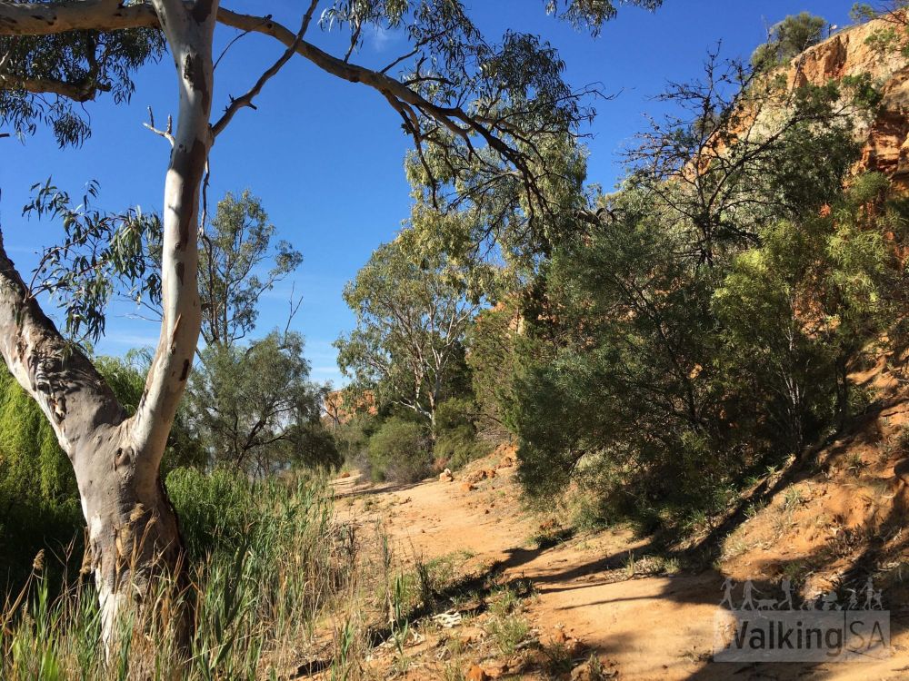 National science week welcomes Dirt Fest post image