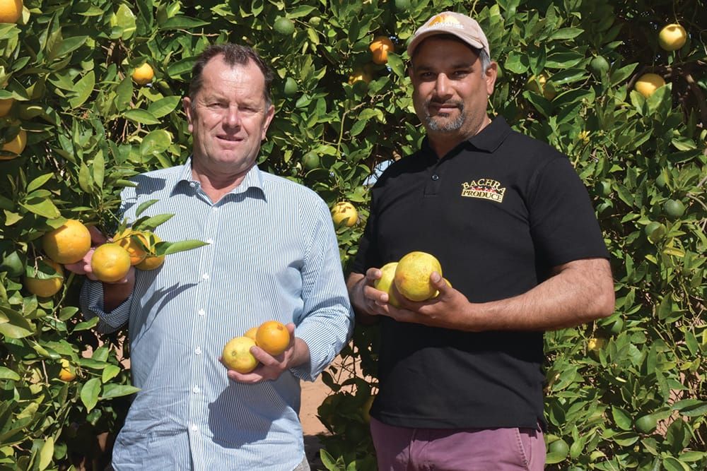 Calls to end complacency… The winter of discontent post image