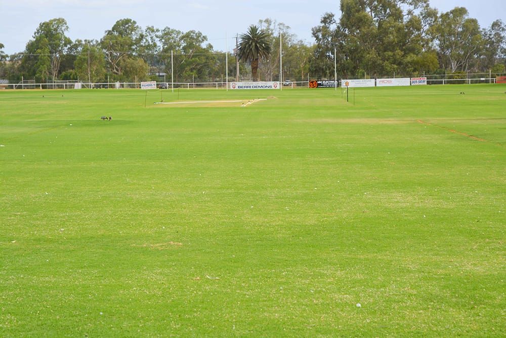 Not-so-minor irrigation... Council forced into $100k irrigation replacement post image