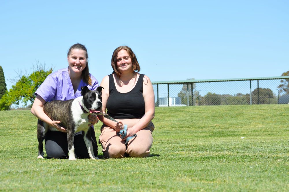Helping out vulnerable pets... and their owners post image