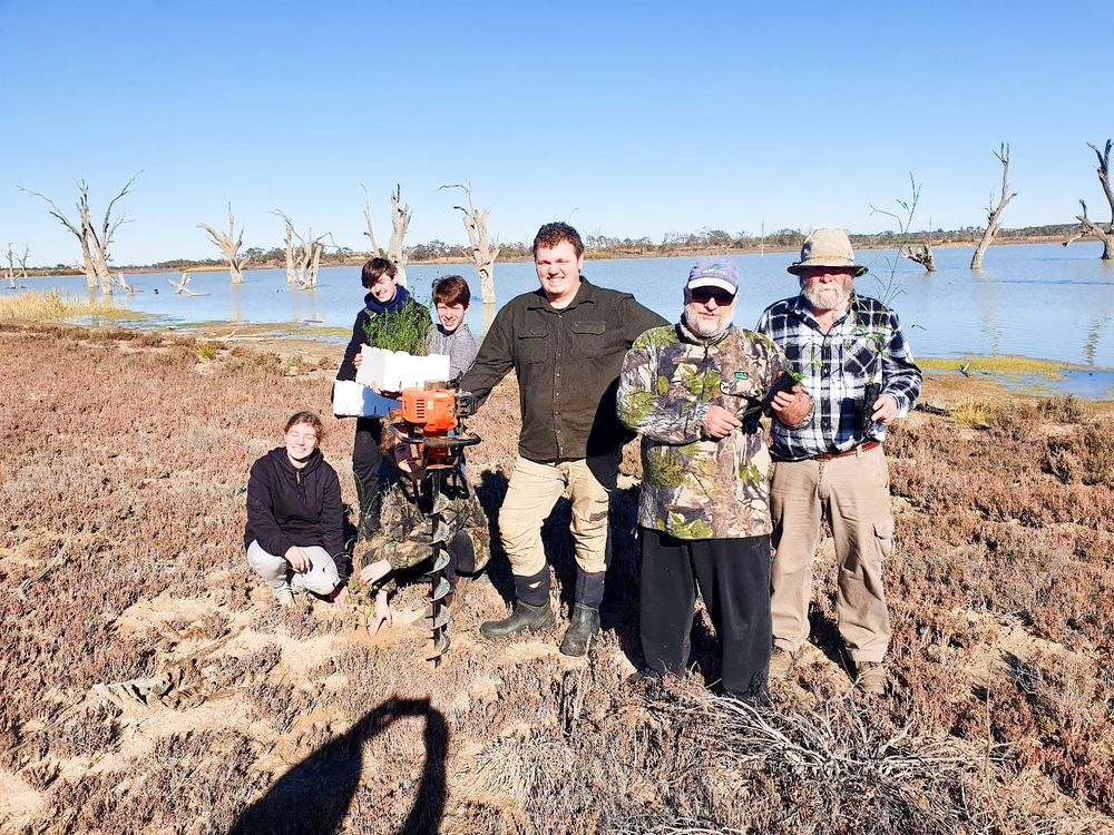 Conservation program’s new roots at Loveday wetlands post image