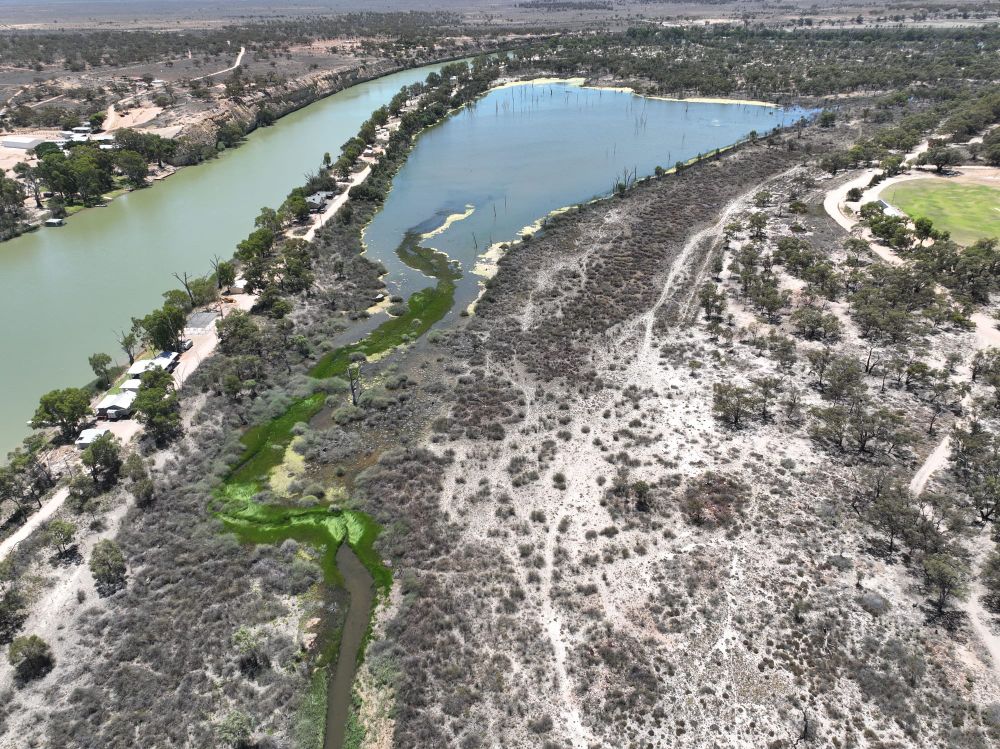 Cadell Wetland watering post image