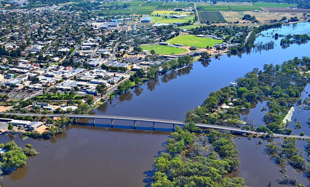 Business trust in the Riverland economy slowing, says major report post image