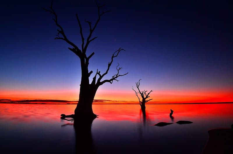 How do you know you’re a local? post image