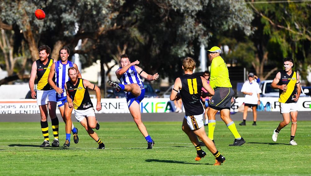 Old dogs, same tricks post image