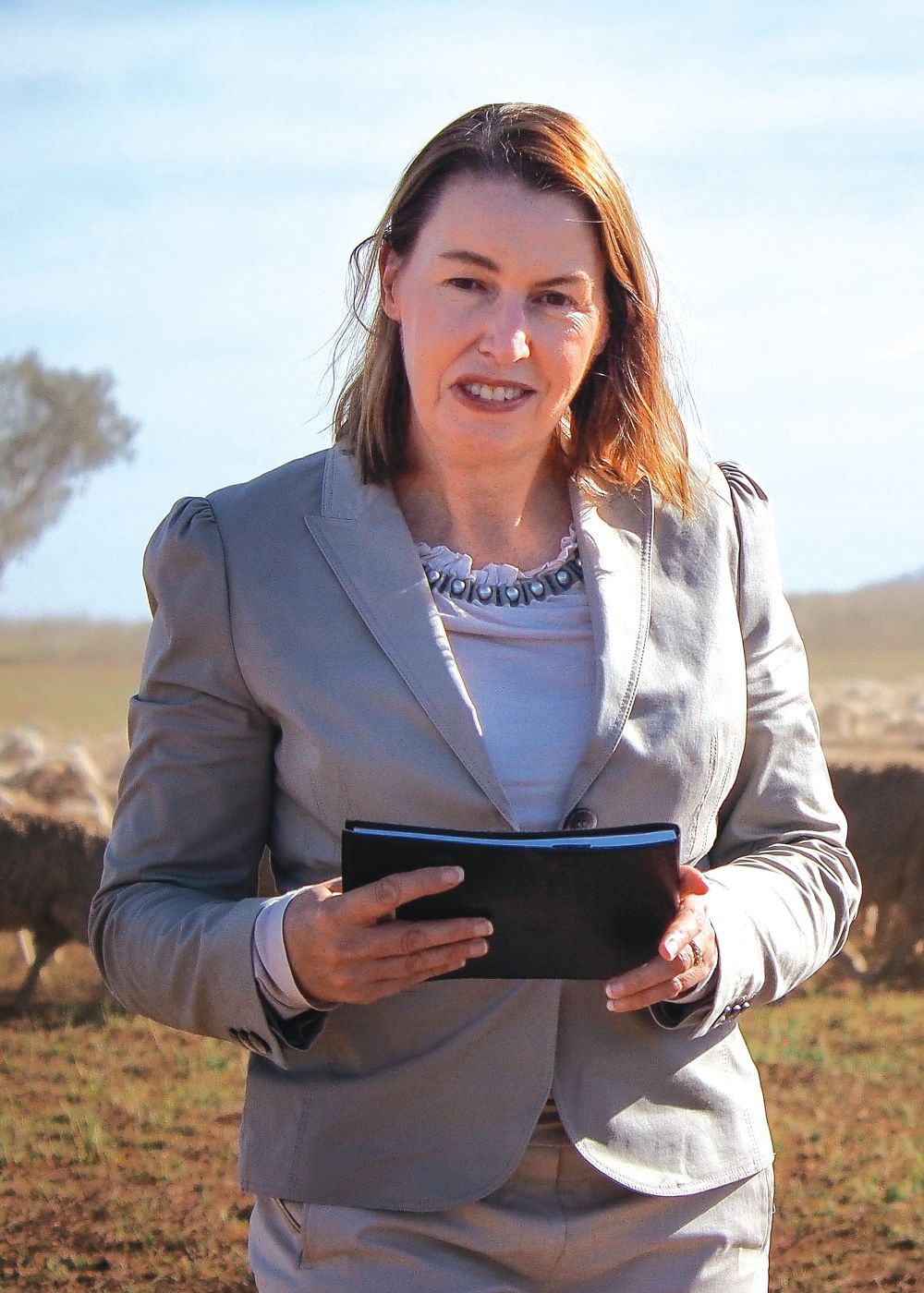 Leadership lacking in buyback debate post image