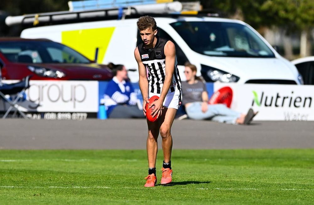 Magpies inside the top two post image