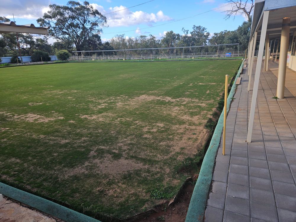 Grass is greener at Moorook post image