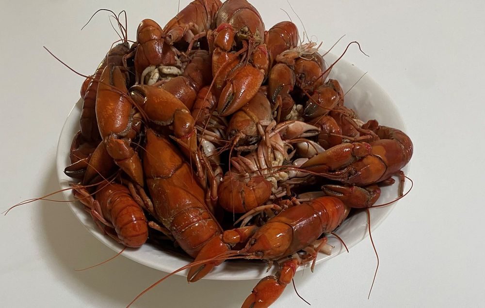 How to kill your yabbies post image