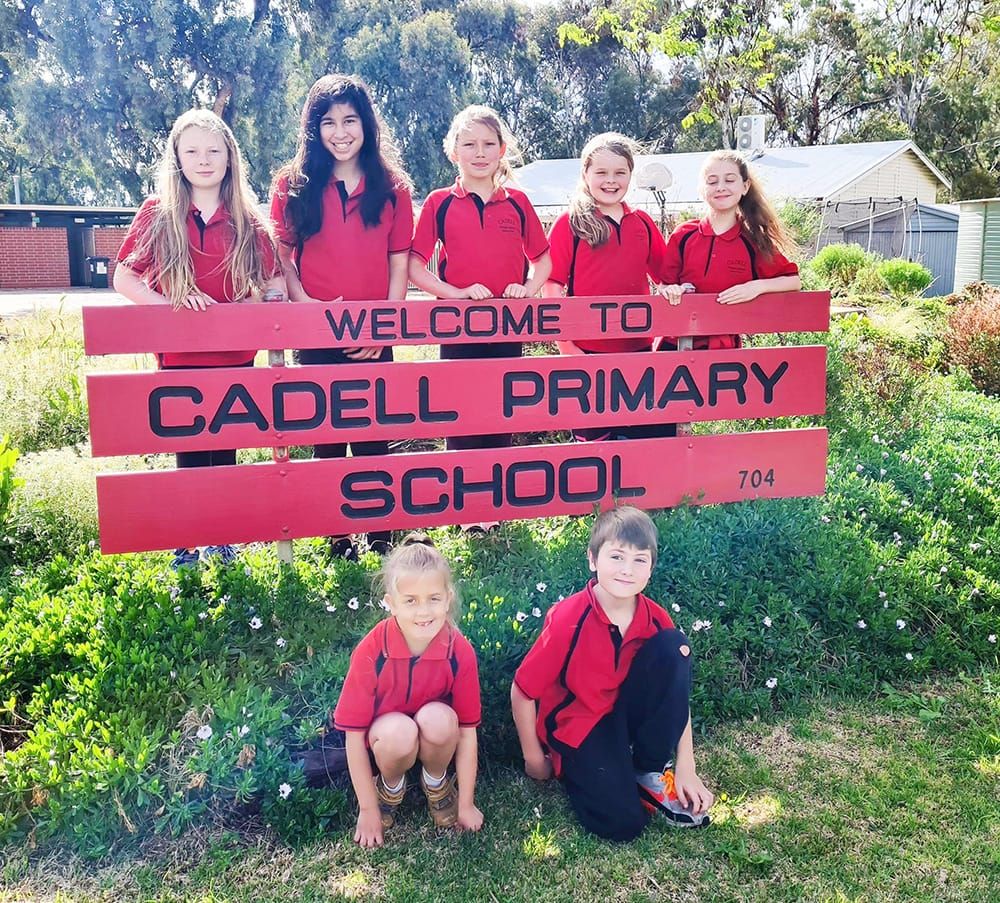 A bittersweet amalgamation post image