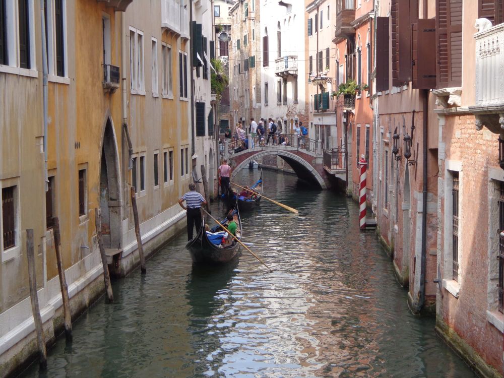 Destination Venice post image