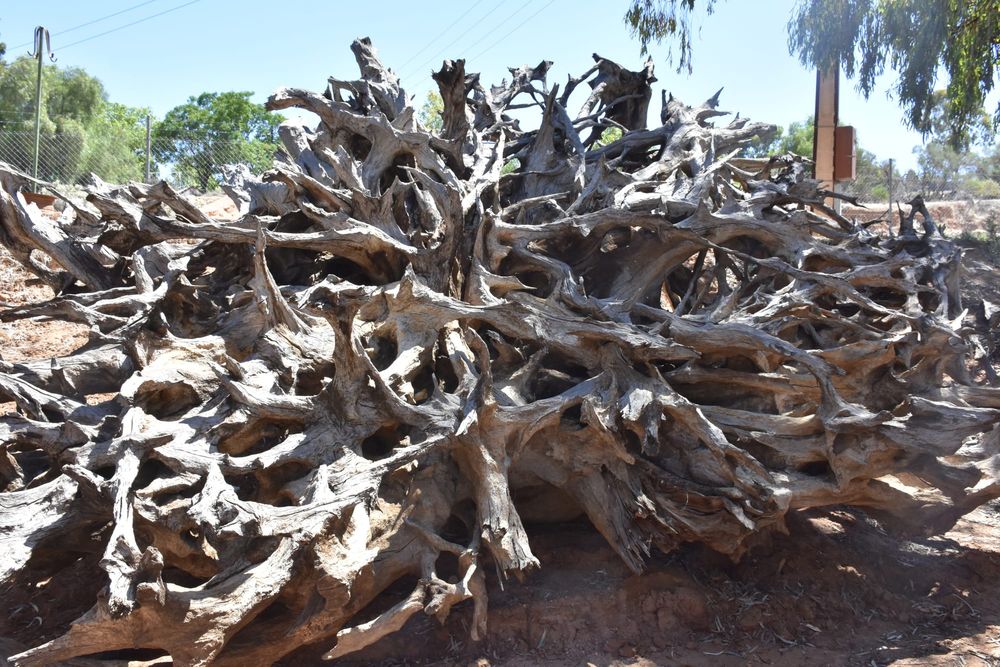 Riverland community spirit alive and thriving post image