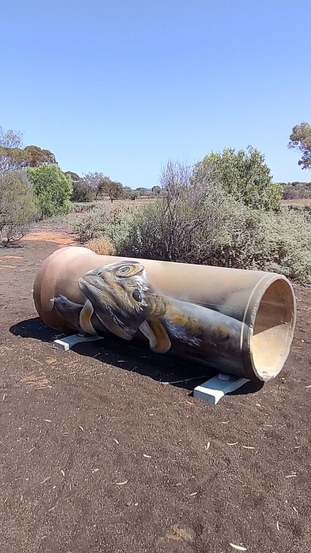 Heritage silos coming to life post image