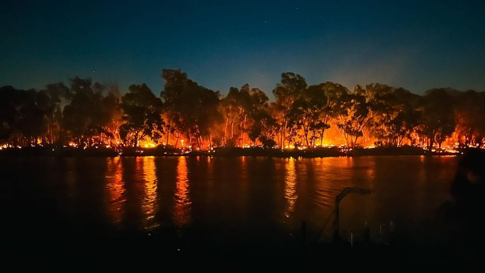 Man arrested over Riverland bushfires post image
