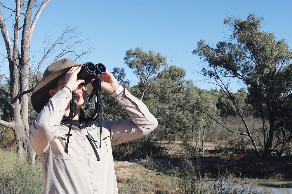 Locals invited to RIT’s science week events post image