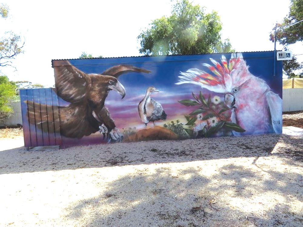 Splash of colour for Mallee hall post image