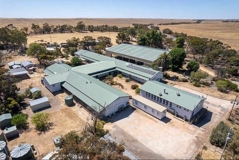 Schools out, buyers are in post image