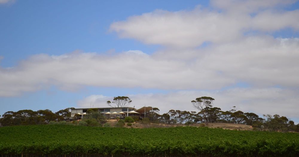 Banrock vineyard’s 'potential' sale, but Berri Estates safe post image