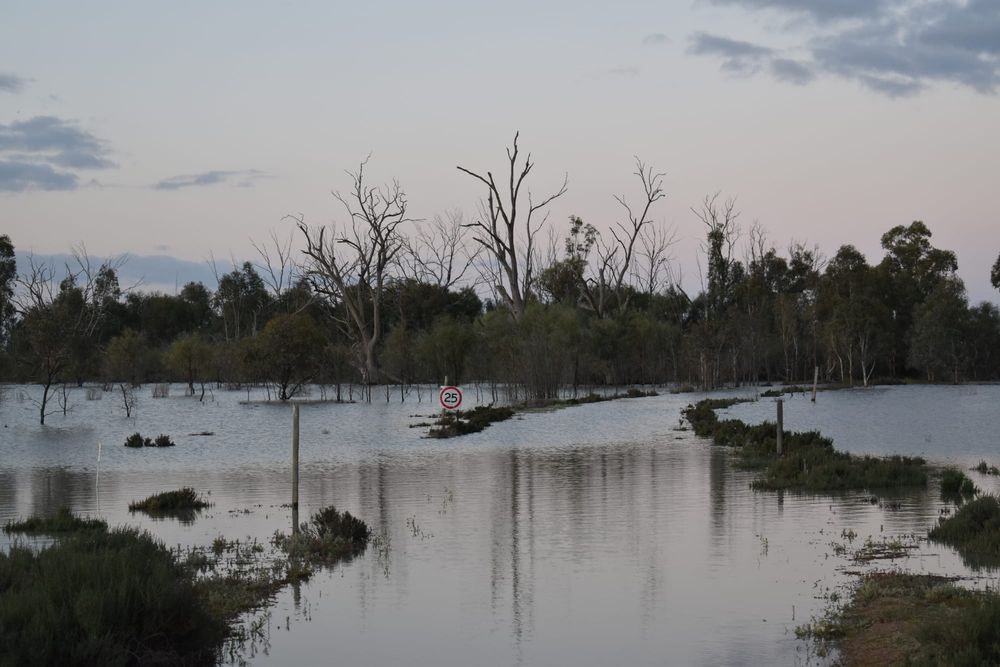 Earthwatch program open at Calperum Station post image