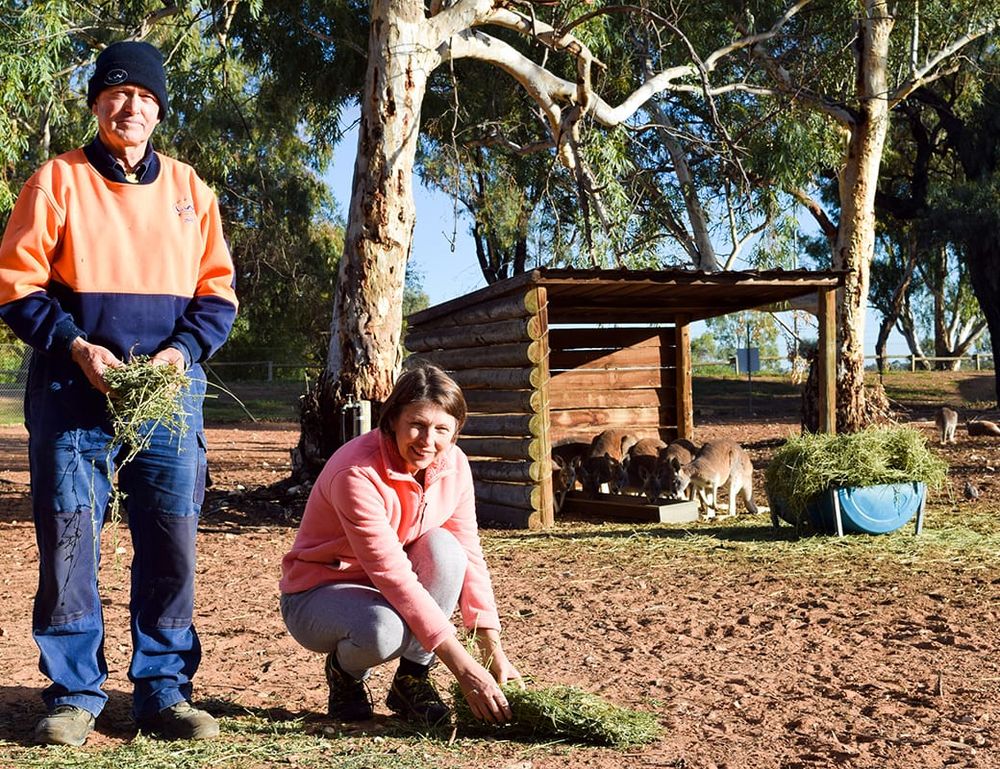 Animal park’s beautification upgrade begins post image