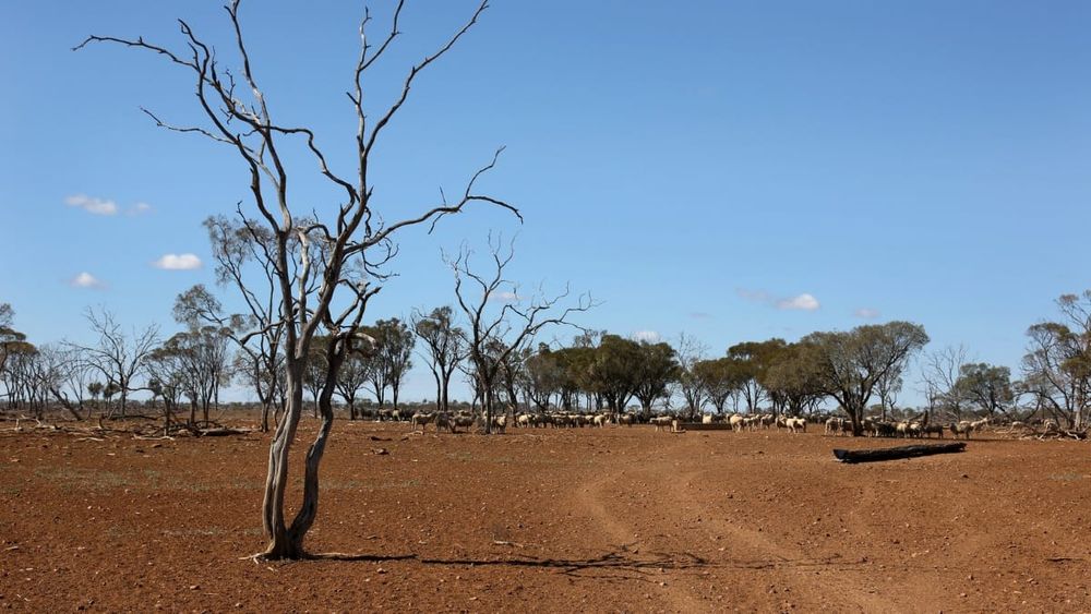LWDC to offer support for drought-affected properties post image