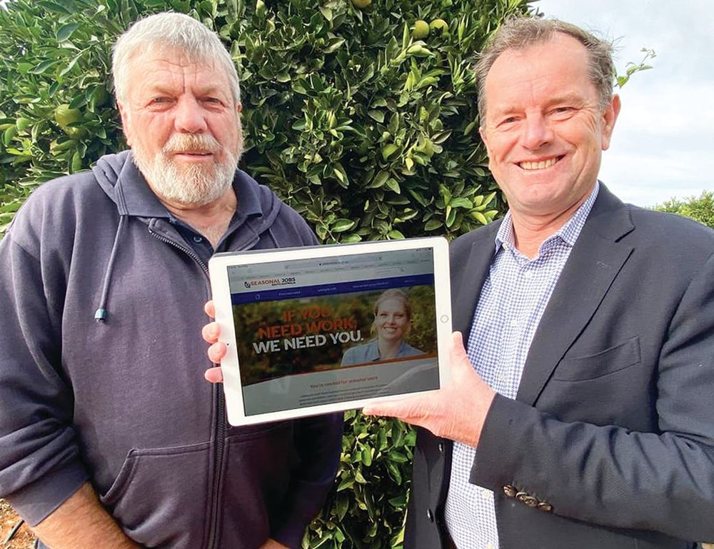 Tim’s ‘call to arms’ for harvest workers post image