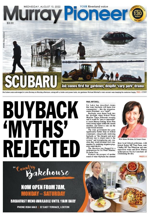 August 10, 2022 post image