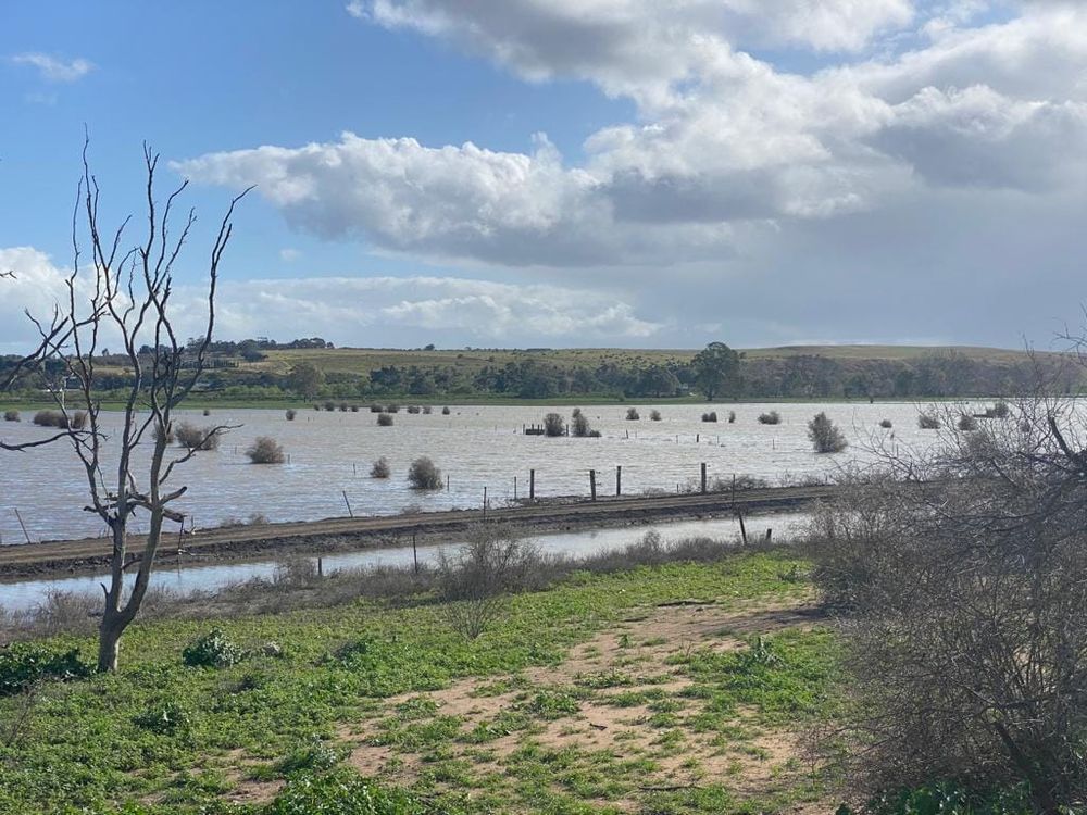 Levee breaches are ‘no cause for alarm' post image