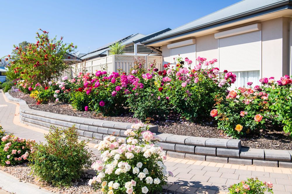 Vibrant village will be alive with colour post image