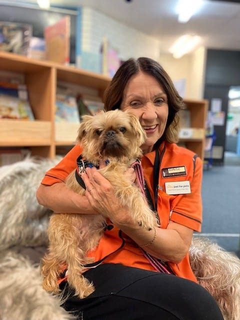 No increases for Loxton Waikerie animal fees post image