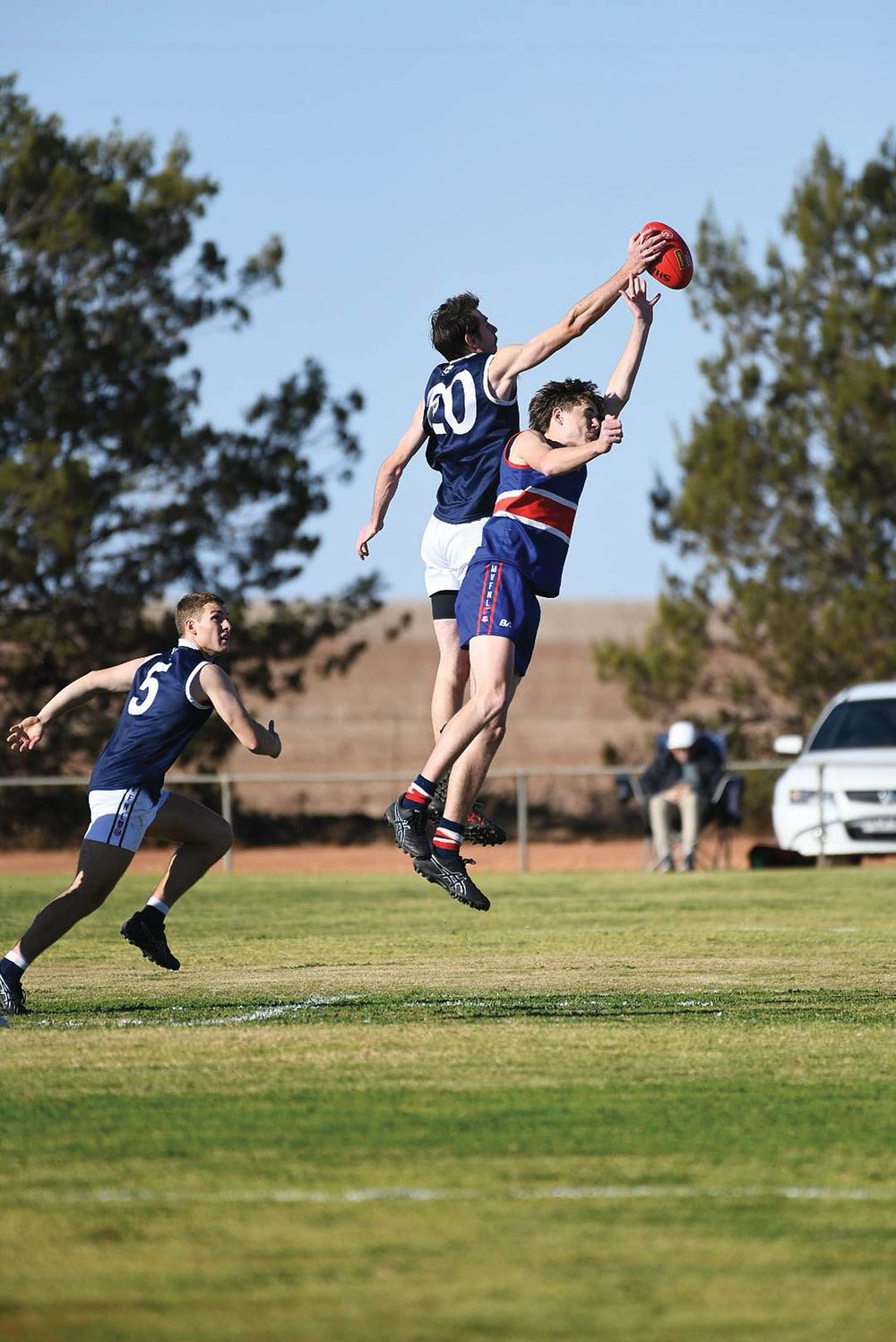 Relocating the dog house post image