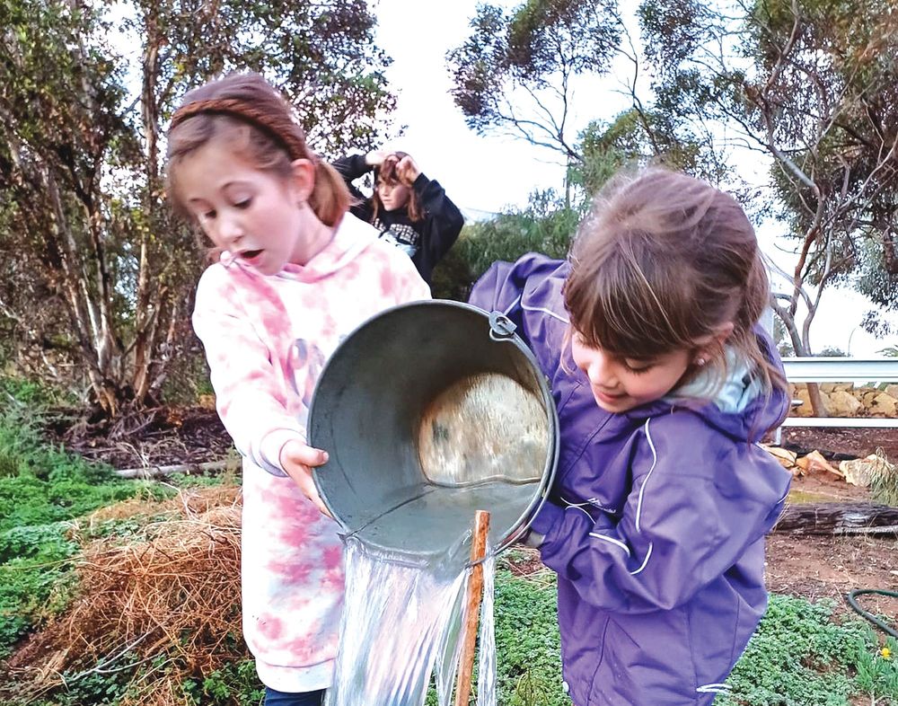 Come along and join in on Tree Day post image