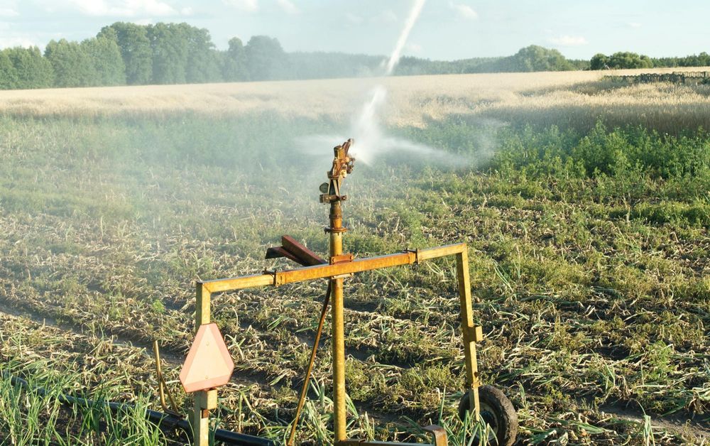 Irrigators: Long-term mismanagement to blame post image