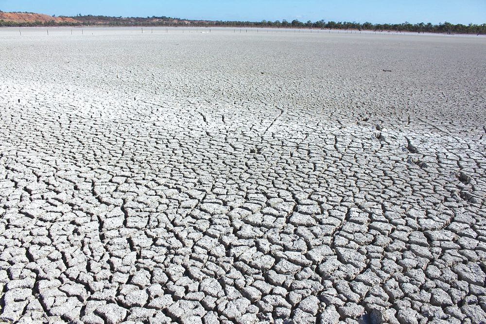 Drying phase set to begin for local lagoons post image