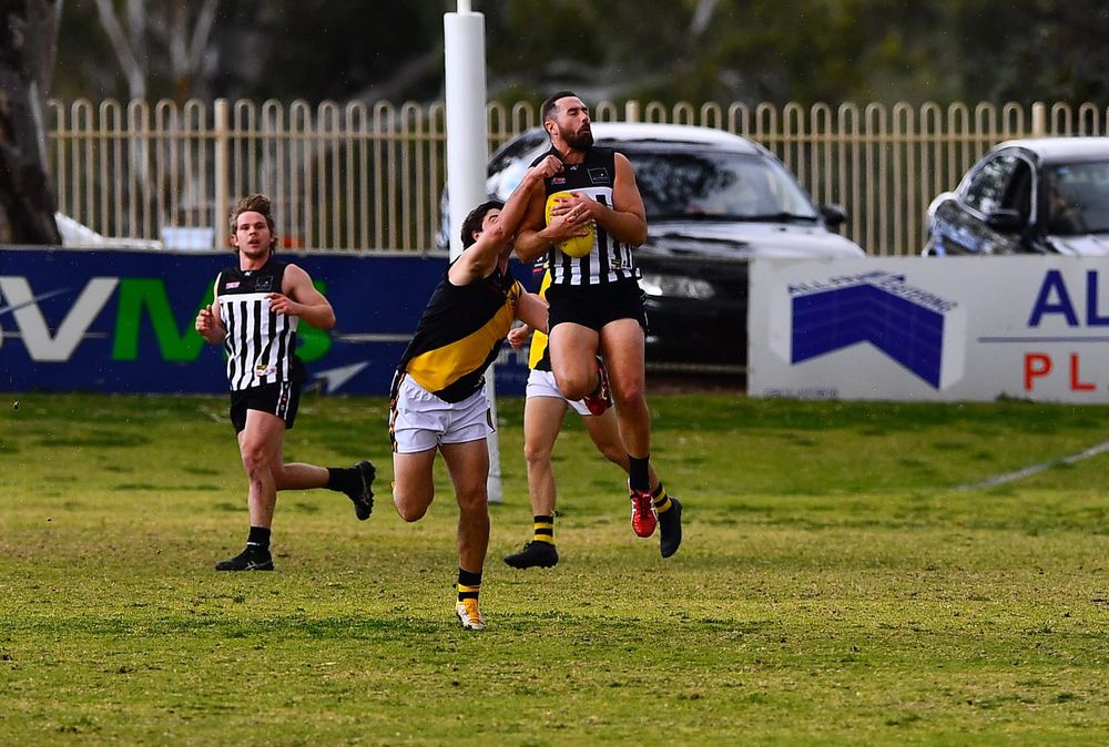 Tigers vs Pies: Here we go again post image