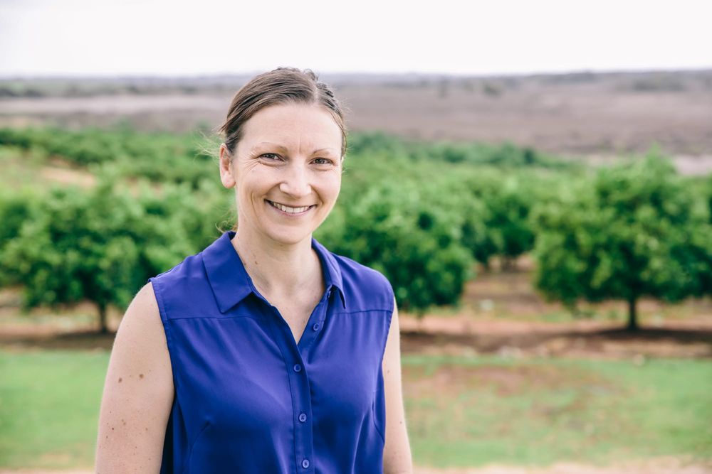 Local Liberals targeting water minister post image