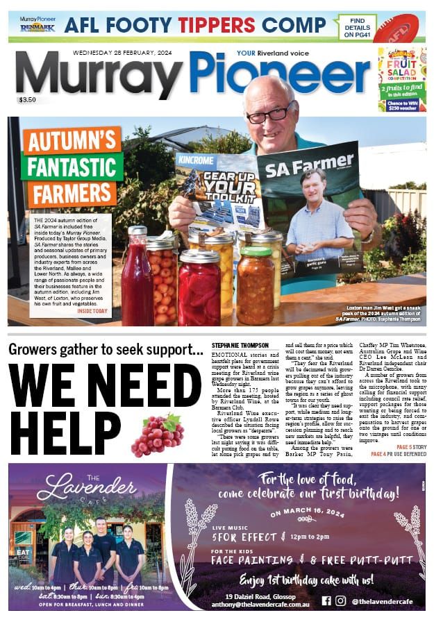 February 28, 2024 post image