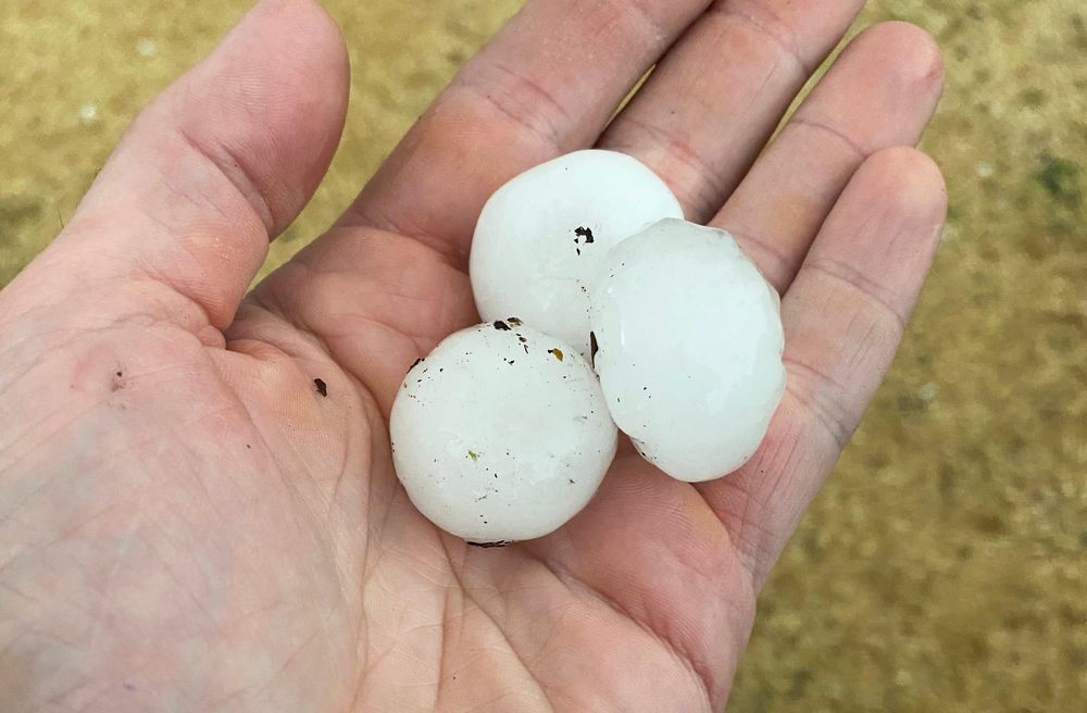 ‘Big blow’ for local stone fruit industry post image