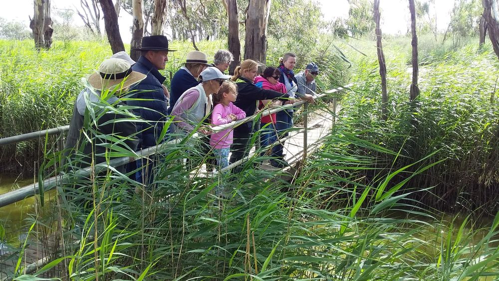 $40,000 to transform local gardens – and lives post image