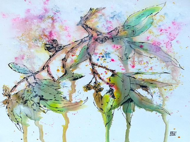 Come see Geert’s SALA escapades post image