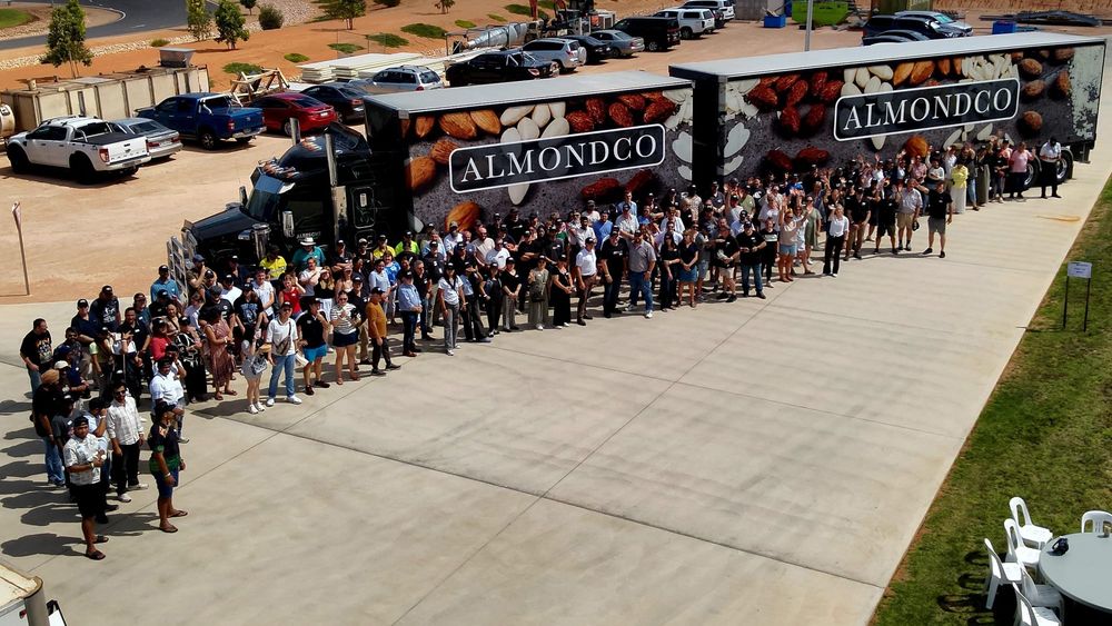 Almondco’s massive milestones in 2024 post image