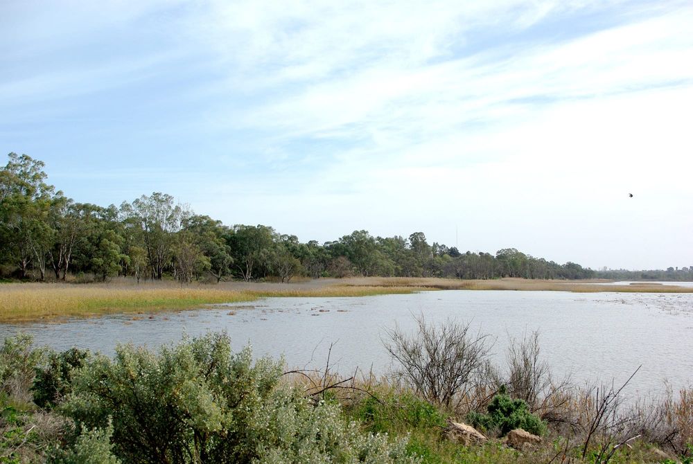 Young leaders forum to explore Hart Lagoon post image