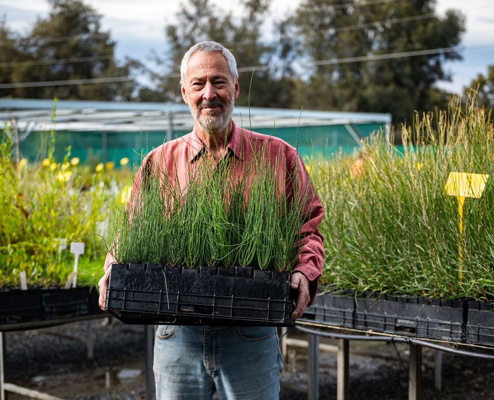 Tree Scheme makes dreams come true post image