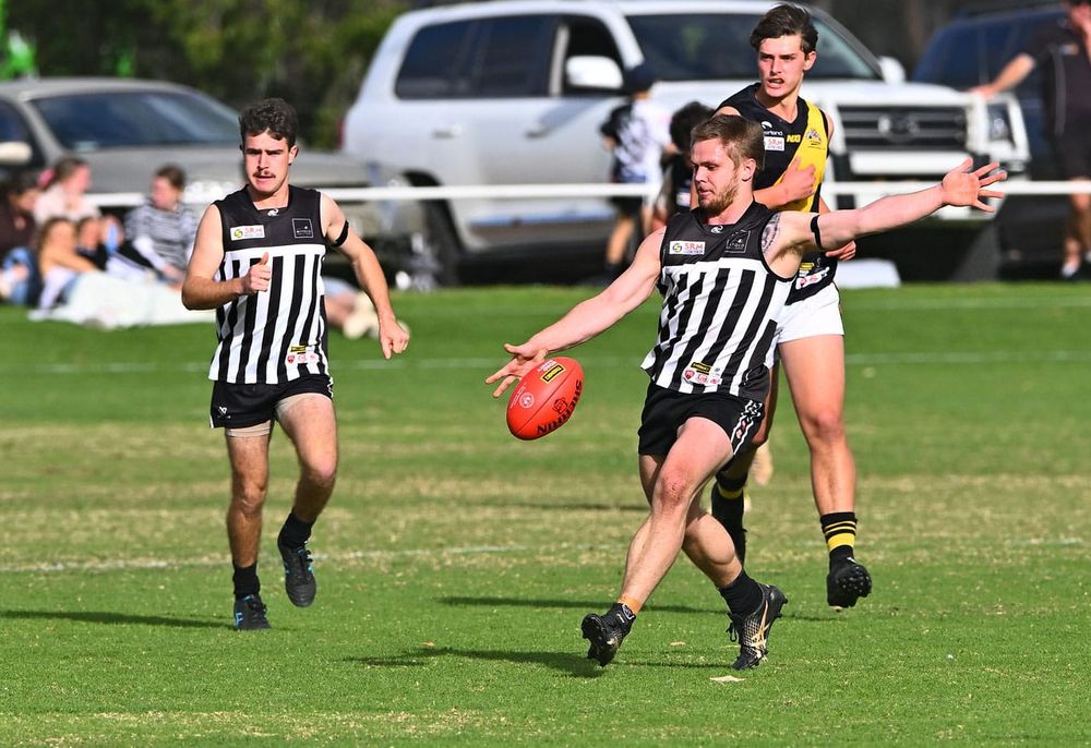 Magpies keep marching on post image