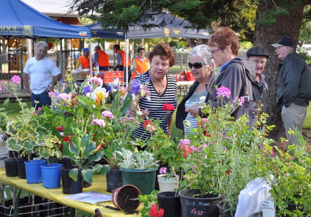 Got a Riverland Rose and Garden Festival event for 2022? post image
