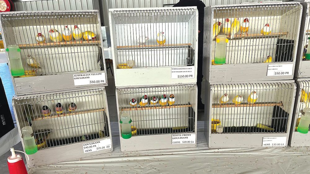 New level of success for annual local bird sale post image